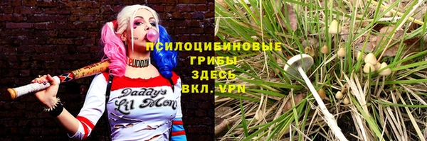 трава Зерноград