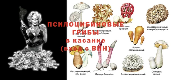 трава Зерноград