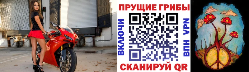Псилоцибиновые грибы Magic Shrooms  Купить  Нижняя Тура 